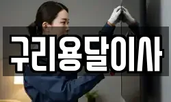 구리용달이사