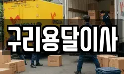 구리용달이사