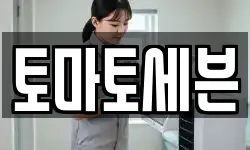 토마토세븐