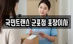 국민트랜스 군포점 포장이사
