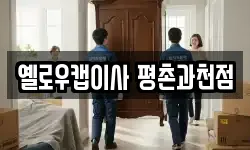 옐로우캡이사 평촌과천점