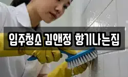 입주청소 김앤정 향기나는집