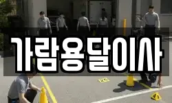 가람용달이사