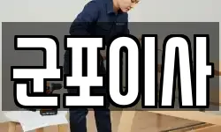군포이사