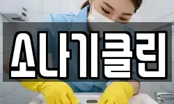 소나기클린