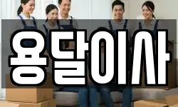 용달이사