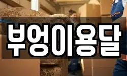 부엉이용달
