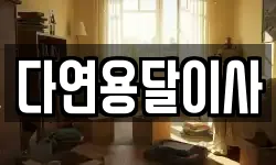 다연용달이사