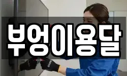 부엉이용달