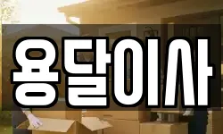 용달이사