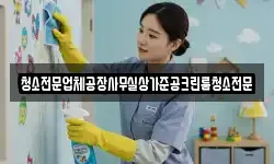 청소전문업체공장사무실상가준공크린룸청소전문