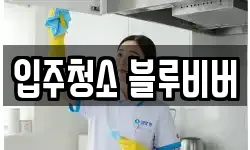 입주청소 블루비버