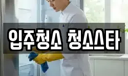 입주청소 청소스타