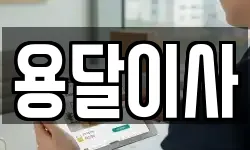 용달이사