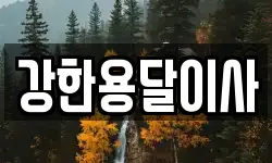 강한용달이사