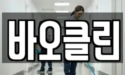 바오클린