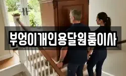부엉이개인용달원룸이사