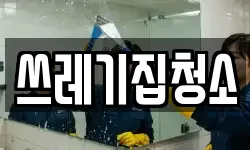 쓰레기집청소
