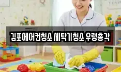 김포에어컨청소 세탁기청소 우렁총각