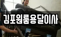 김포원룸용달이사