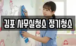 김포 사무실청소 정기청소