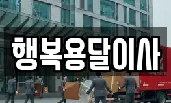 행복용달이사