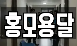 경기 김포시 월곶면 이사,용달이사,포장이사,원룸이사,보관이사