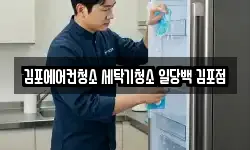 김포에어컨청소 세탁기청소 일당백 김포점