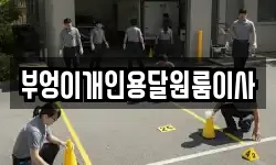 부엉이개인용달원룸이사