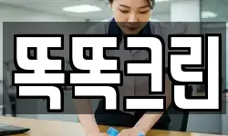 똑똑크린