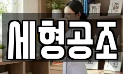 세형공조