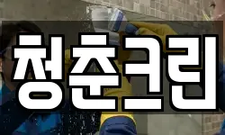 청춘크린