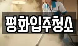 평화입주청소