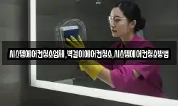 시스템에어컨청소업체,벽걸이에어컨청소,시스템에어컨청소방법