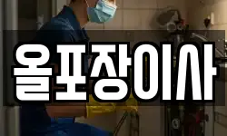 올포장이사