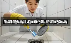시스템에어컨청소업체,벽걸이에어컨청소,시스템에어컨청소방법