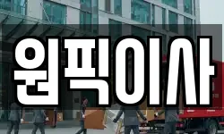 원픽이사