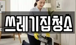쓰레기집청소