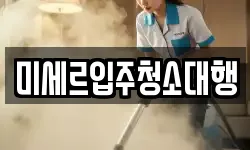 미세르입주청소대행