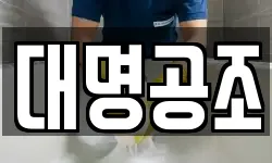 대명공조