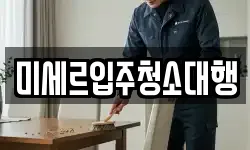 미세르입주청소대행