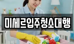 미세르입주청소대행