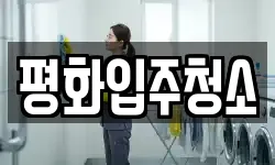 평화입주청소