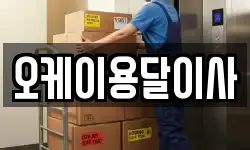 오케이용달이사