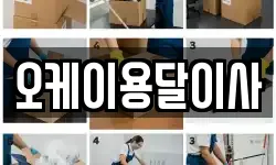 오케이용달이사