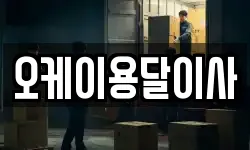 오케이용달이사
