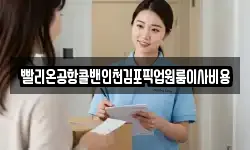 빨리온공항콜밴인천김포픽업원룸이사비용