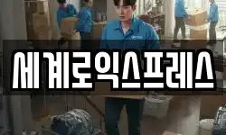 세계로익스프레스