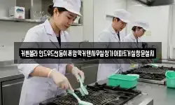 커튼블라인드우드전동쉬폰암막커텐사무실상가아파트거실창문설치