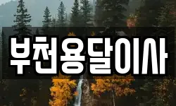 부천용달이사